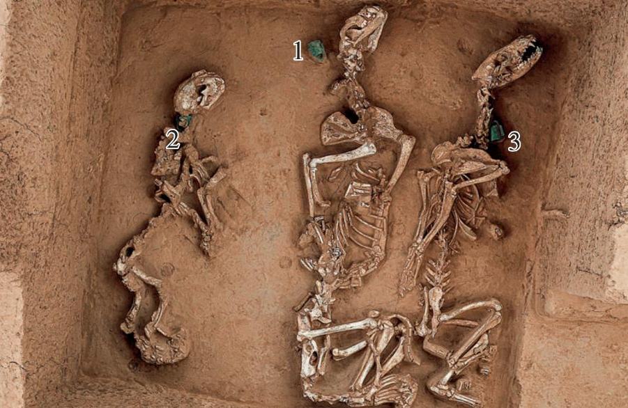 Anuncian el descubrimiento de lo que denominan "el complejo más antiguo conocido de fauna silvestre criada artificialmente en China"