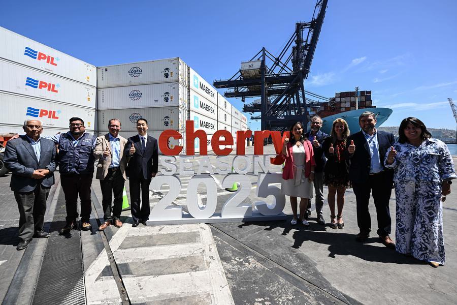 Cerezas chilenas, un símbolo festivo que se ha convertido en producto de amplio consumo en China