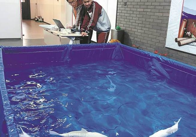 Cada vez más universidades y laboratorios de investigación abren sus puertas a estudiantes escolares