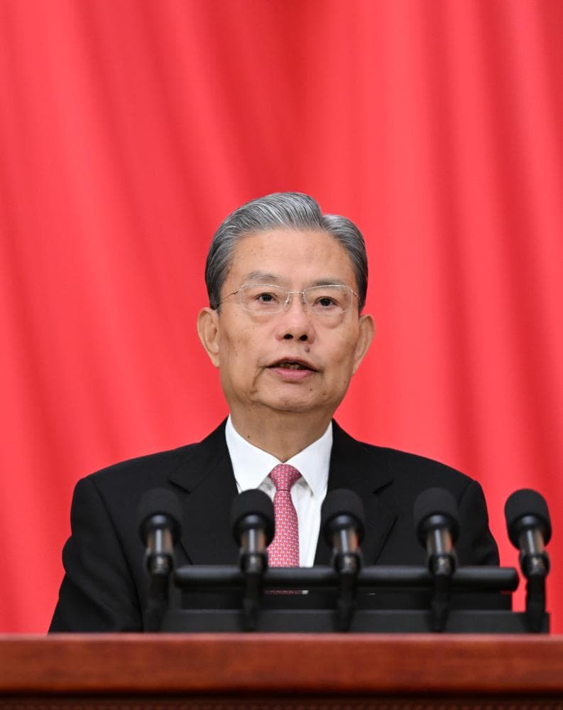 Órgano legislativo nacional de China celebra segunda reunión plenaria