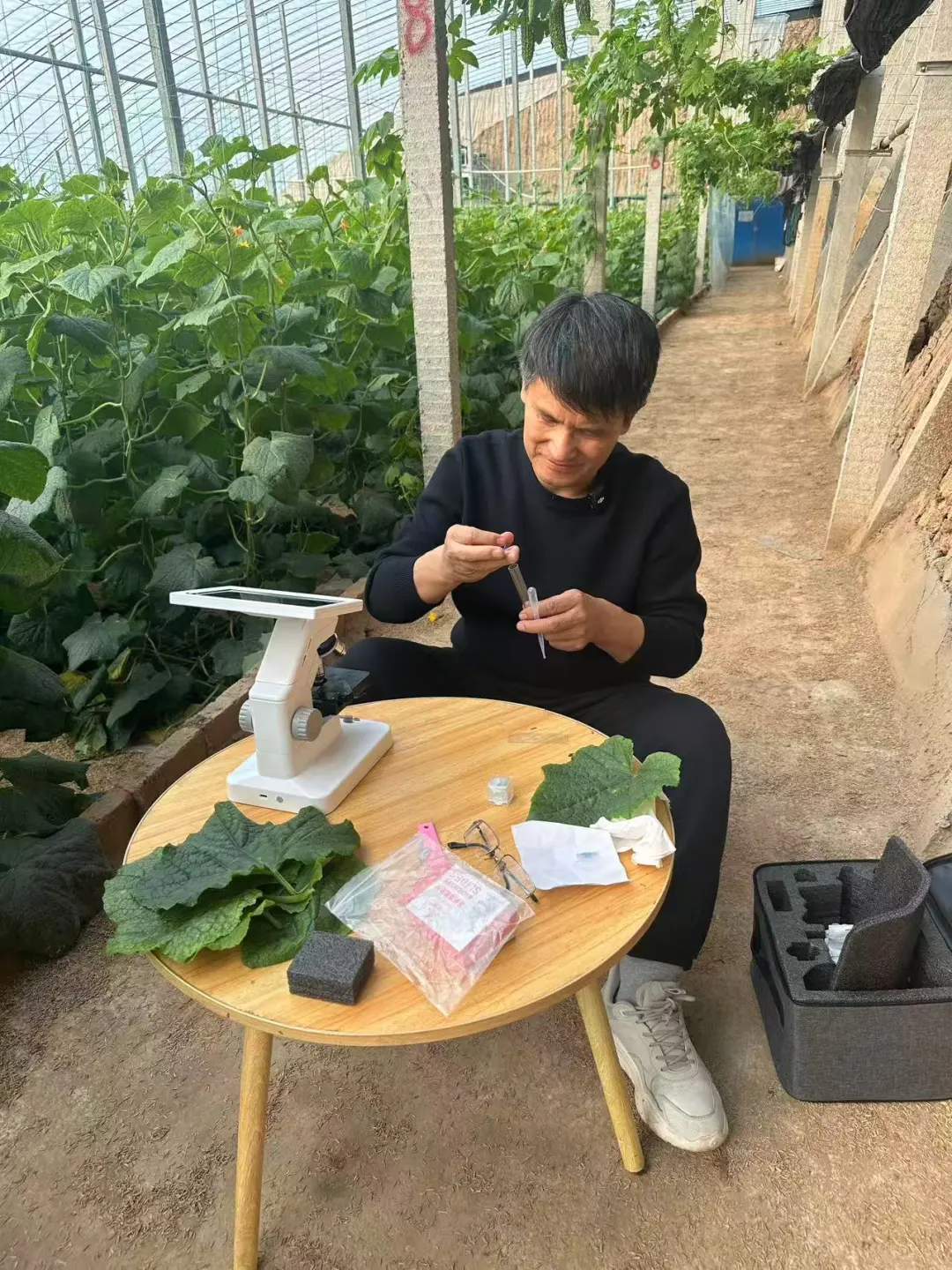 Li Baoju, investigador del Instituto de Vegetales y Flores de la Academia de Ciencias Agrícolas de China. (Foto: cuenta oficial de WeChat del Diario del Pueblo)