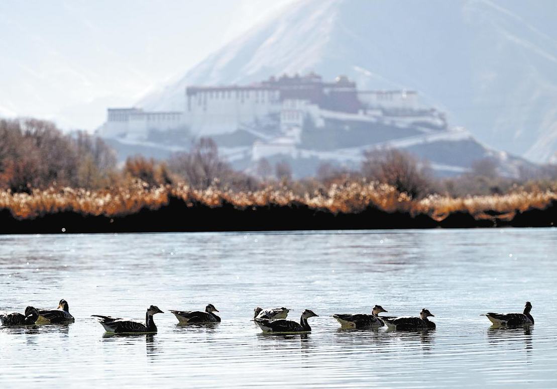 China representa una cuarta parte de las nuevas áreas verdes añadidas al mundo
