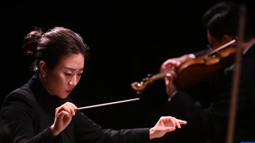 Concierto para celebrar el Año de la Cultura China-Brasil en Natal, Brasil