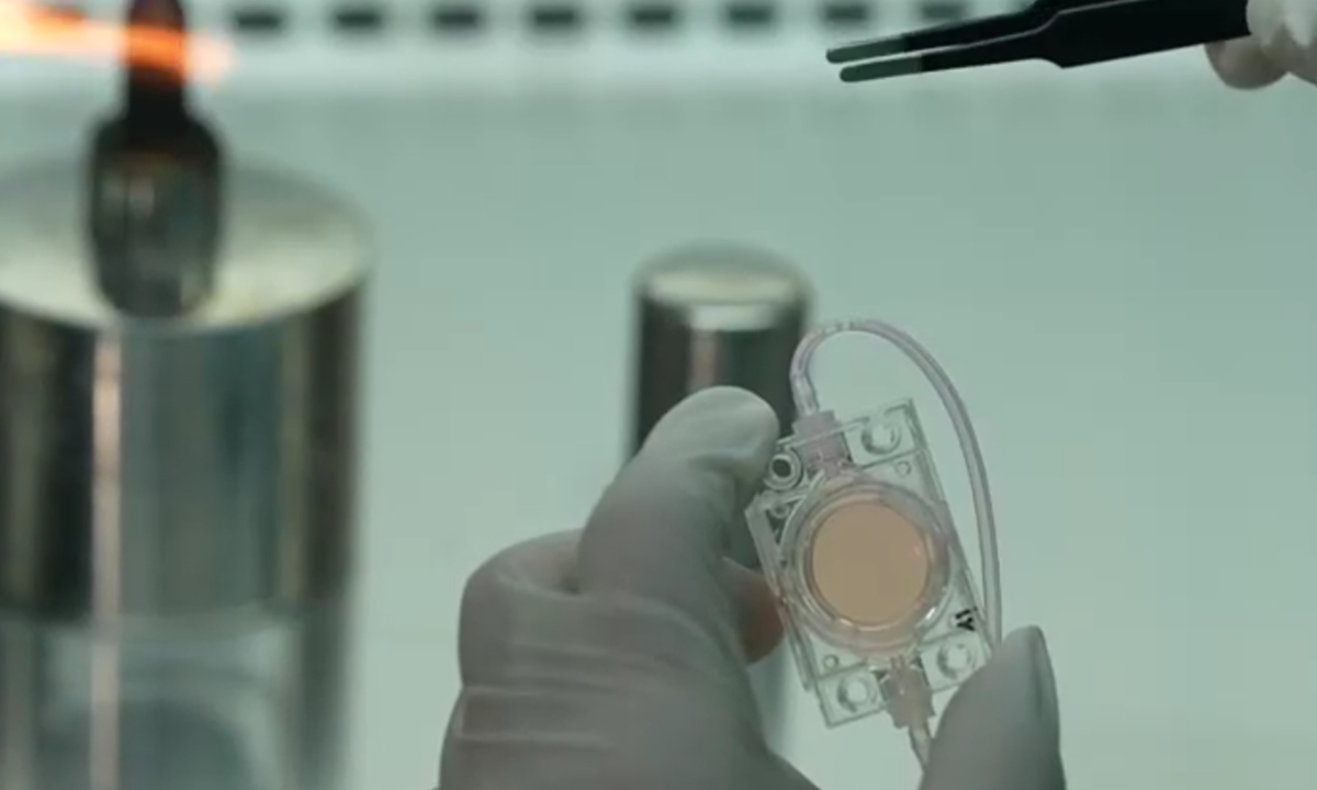 (Foto: Captura de pantalla del metraje de video que presenta el experimento espacial de "embriones artificiales")
