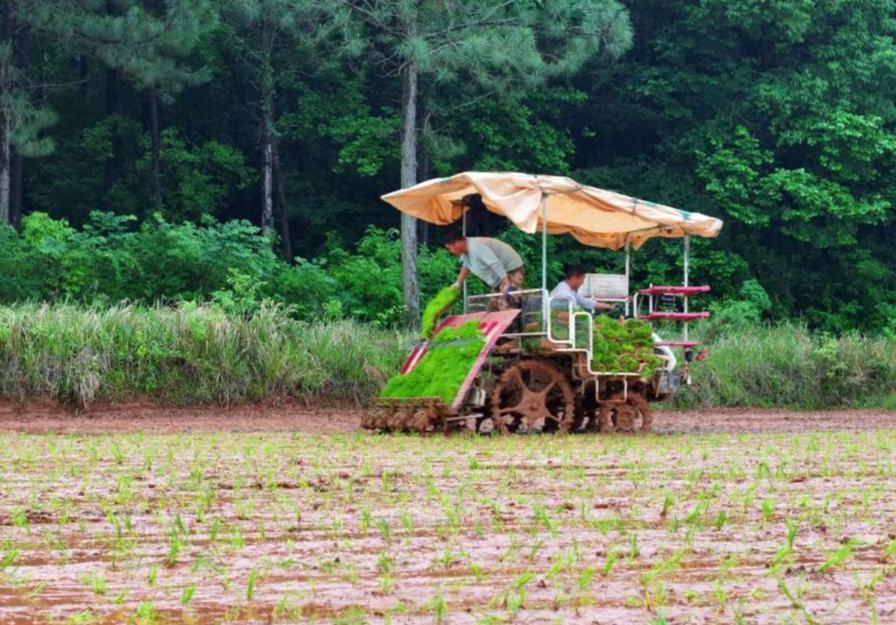 Sistema de navegación BeiDou impulsa la transformación agrícola de China