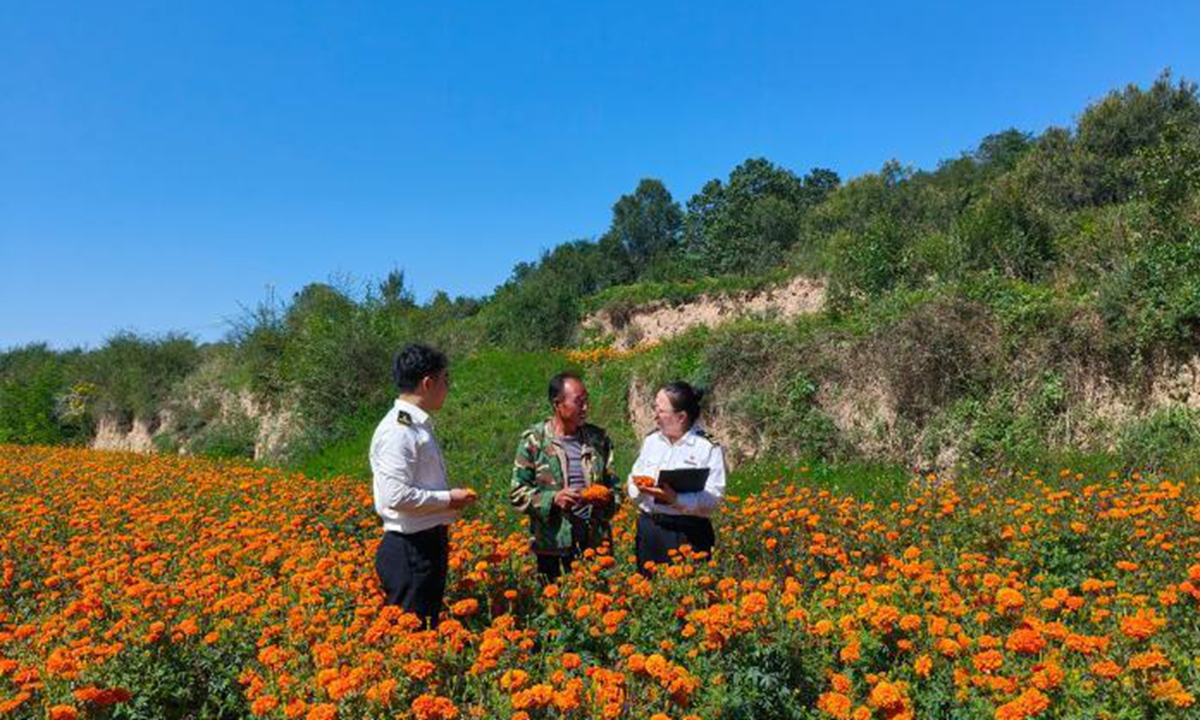 Extracto de caléndula producido en Gansu entra por primera vez en el mercado colombiano