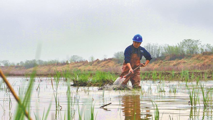 Labor de voluntarios chinos resalta el valor comunitario de la conservación ecológica