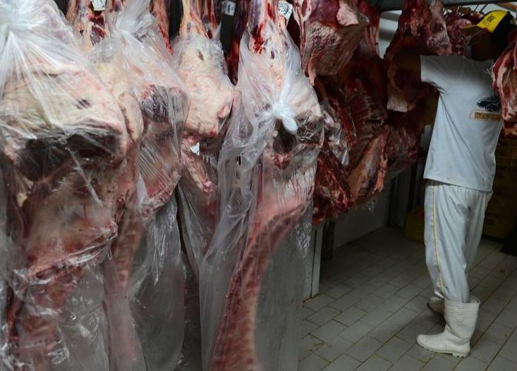 Brasil registra aumento en producción y exportación de proteína animal en primer trimestre de 2026