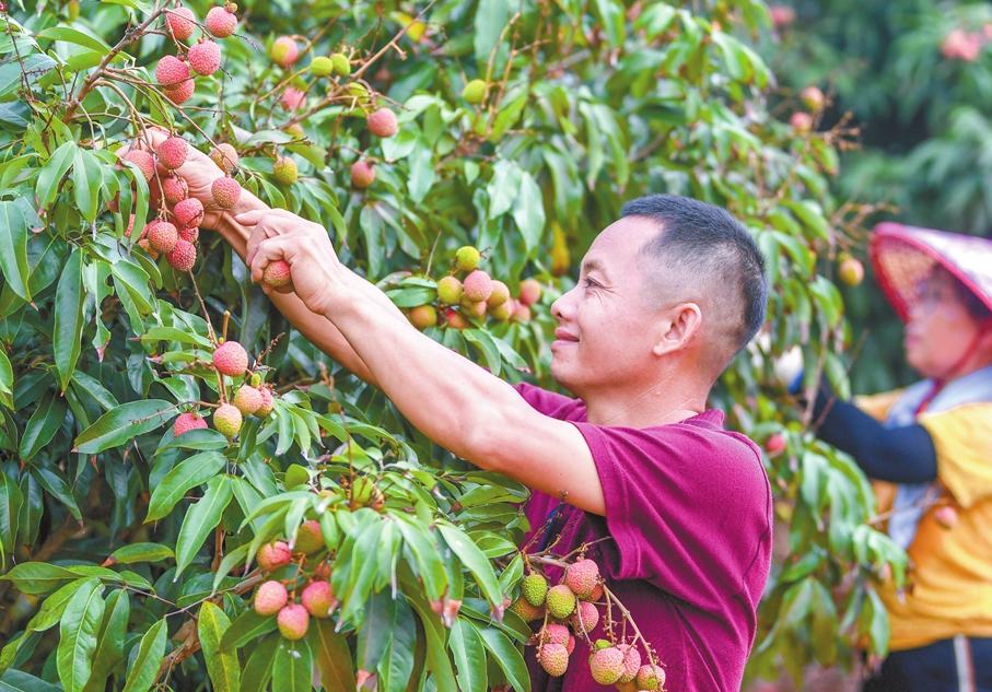 De las importaciones de durian a las exportaciones de lichi: cómo está cambiando la mesa de verano en China
