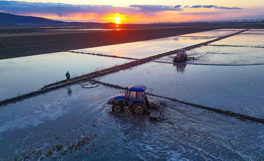 Vista aérea tomada con un dron el 27 de abril de 2026 de un agricultor conduciendo una máquina agrícola para preparar el campo para la siembra, en el poblado de Jinshan, en la ciudad de Fujin, en la provincia de Heilongjiang, en el noreste de China. (Xinhua/Qu Yubao) 