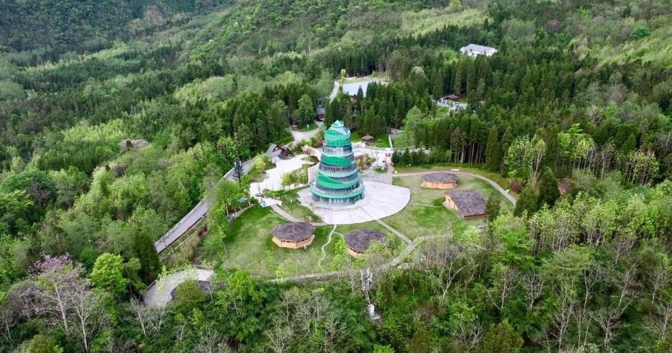 Baoxing, donde la conservación del panda gigante impulsa el crecimiento sostenible