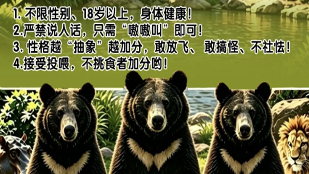 Zoológico chino ofrece oportunidad bien remunerada para “ser” un oso negro