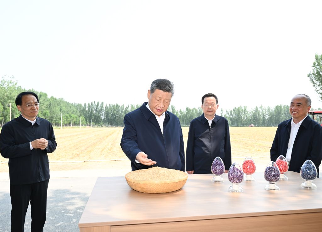 Xi pide adoptar medidas sólidas para modernizar agricultura y zonas rurales