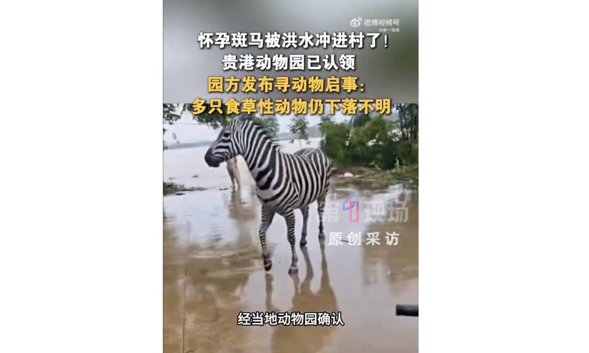 (Foto: captura de pantalla de Sina Weibo)