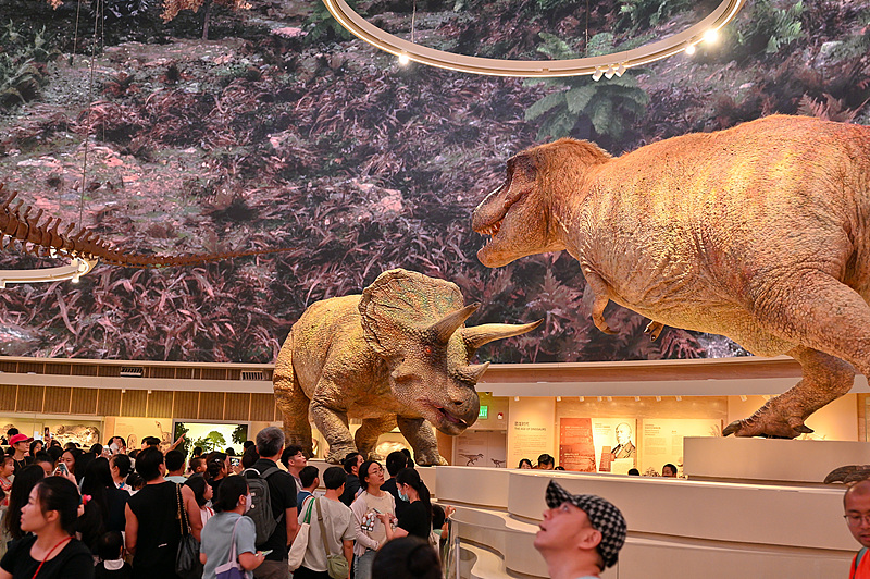 Los visitantes exploran la Sala de Dinosaurios en el Museo de Historia Natural de Shenzhen, en la provincia de Guangdong. (Foto: VCG)