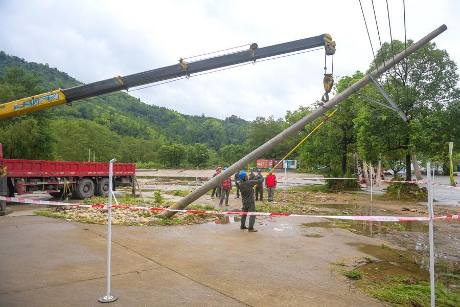 Trabajadores del sector eléctrico realizan reparaciones de emergencia en un poste de servicios públicos derribado por el tifón Dolphin, en la aldea de Lianfeng en la ciudad de Wenzhou, en la provincia oriental china de Zhejiang, el 10 de agosto de 2026. (Xinhua/Jiang Han)