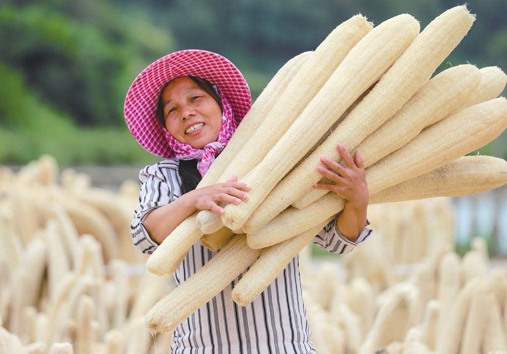 Productos agrícolas chinos de procesamiento profundo impulsan un comercio de mayor valor