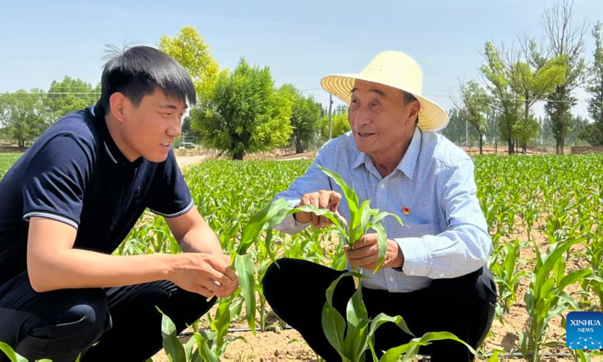 Shi Jianyang (a la izquierda) y su abuelo comprueban el crecimiento de los cultivos en una tierra cerca de una zona forestal a lo largo del desierto de Maowusu, en la provincia de Shaanxi, año 2026. (Foto: Xinhua)
