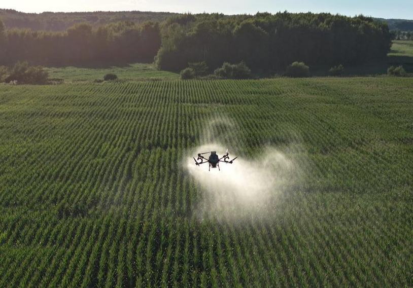 China despliega más drones y cosechadoras inteligentes para las labores agrícolas de otoño