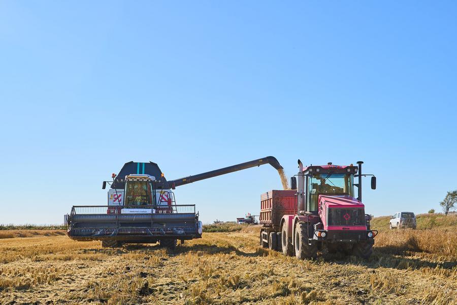 Líderes bálticos piden a UE que prohíba el tránsito de grano ruso
