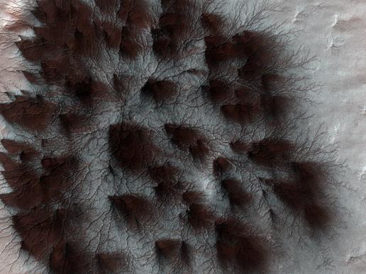 Sonda norteamericana logra fotografiar estructuras superficiales de Marte, muy parecidas a arañas