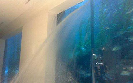 Se presentan grietas en el acuario más grande del mundo provocando la evacuación emergente del Dubai Mall Aquarium