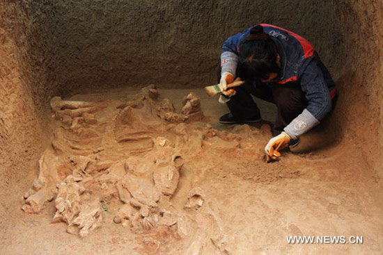 Descubrimiento arqueológico reaviva leyenda china sobre misterioso caballo "celestial" 