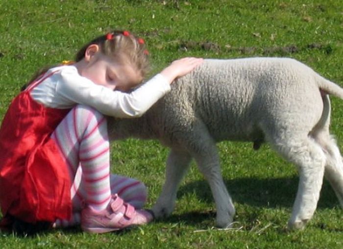 ¡Qué conmovedor cuando los niños están junto con los animales! (24)