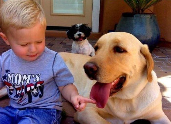 ¡Qué conmovedor cuando los niños están junto con los animales! (15)