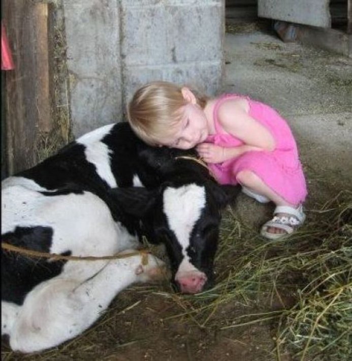 ¡Qué conmovedor cuando los niños están junto con los animales! (4)