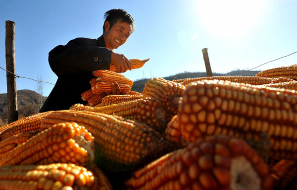 Presupuesto 2013: China destinará más fondos para agricultura y servicios de salud