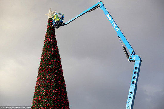 Construyen en Inglaterra árbol navideño del tamaño más grande