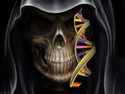 Científicos descubren gen que predice la hora de la muerte 