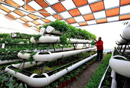 Invernaderos con energía solar impulsan la agricultura moderna