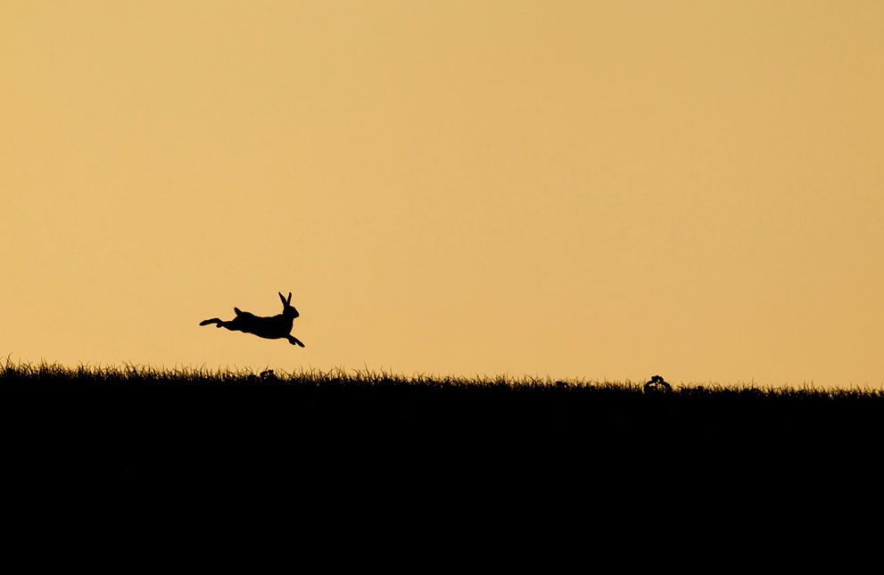 Fotos seleccionadas del Concurso de fotografía de National Geographic   5