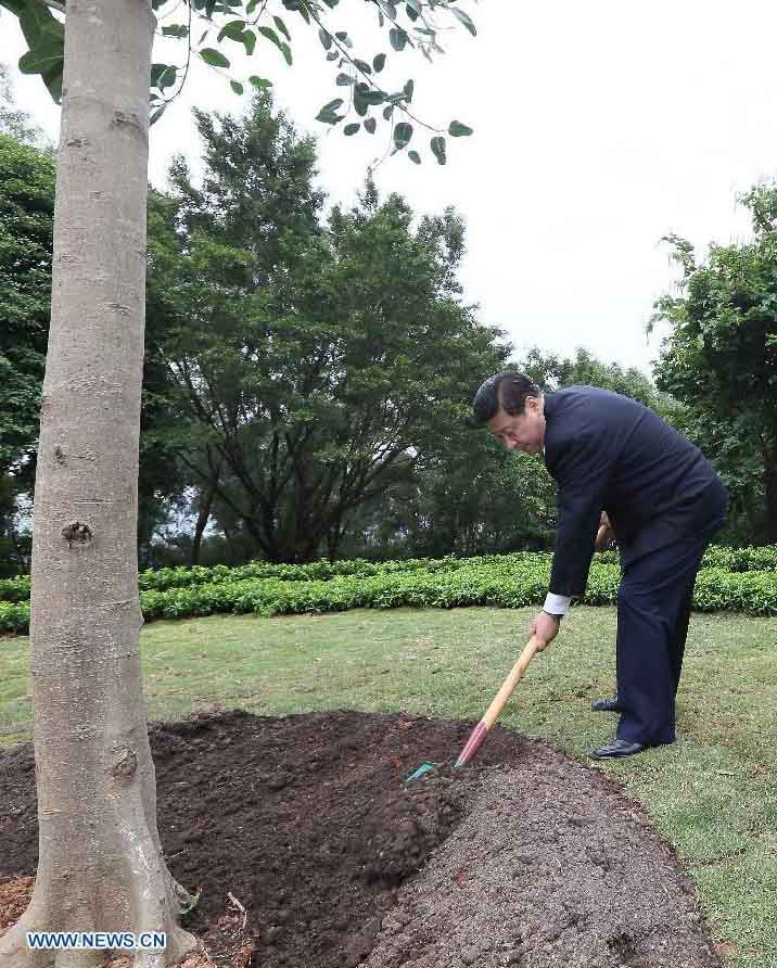 Xi Jinping promete continuar impulsando reforma y apertura