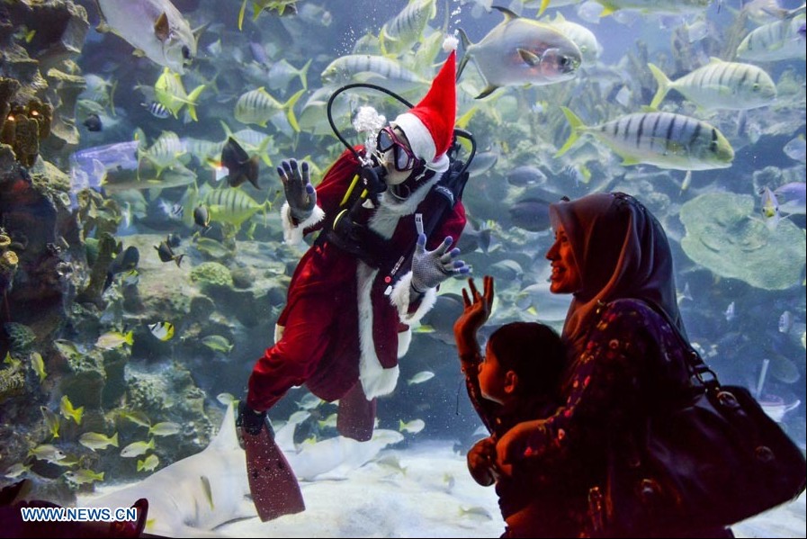 "Santa Claus" nada con peces