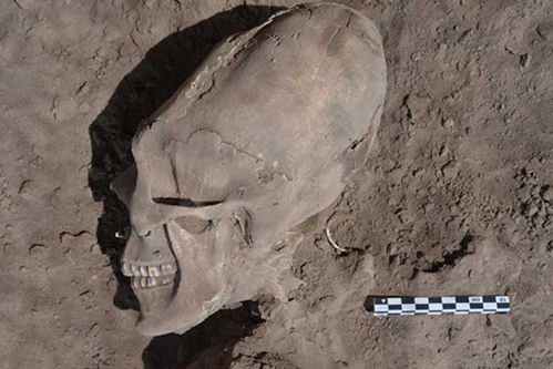 Encuentran en México un cementerio con cráneos alargados
