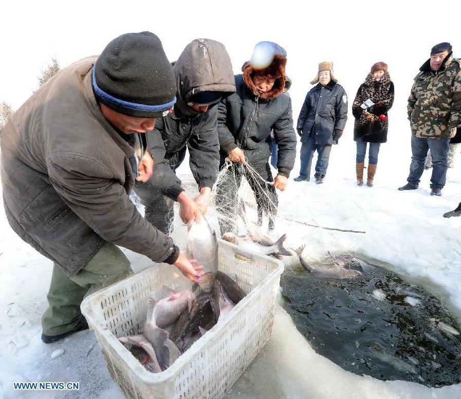 Inicia el Festival de la Pesca de Invierno en Harbin