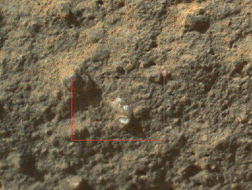 Curiosity encontra una flor en Marte