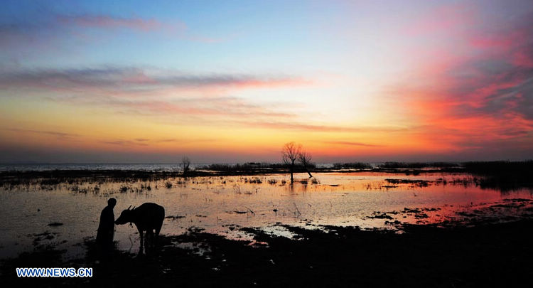 Bello paisaje del lago Chaohu al crepúsculo en Anhui 2