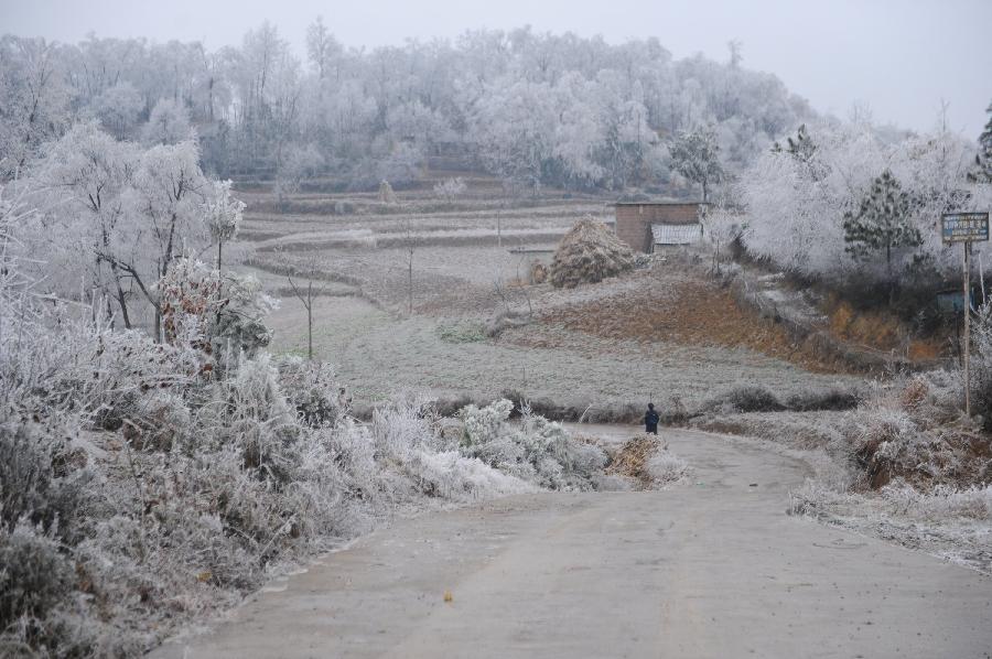 En imágenes: China experimenta el invierno más frío en 28 años (8)