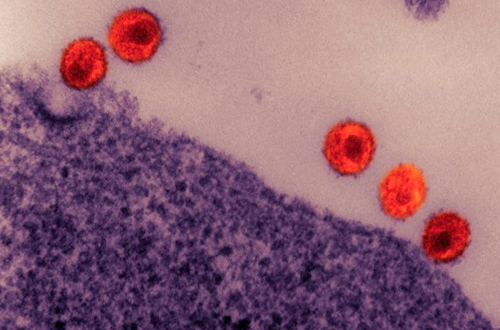 Científicos crean células invencibles al VIH