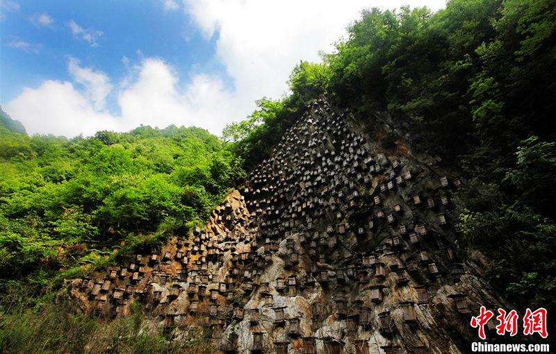 Colmenas se asemejan a ataúdes colgantes en acantilado en Hubei