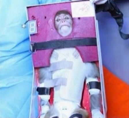 Irán lanza un cohete al espacio con un mono a bordo