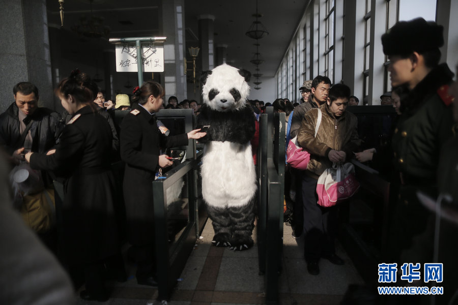 Pasajera vestida de oso panda anima el éxodo del Festival de Primavera (2)