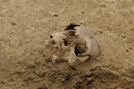 Arqueólogos encuentran cuerpo de rey inglés Ricardo III en estacionamiento