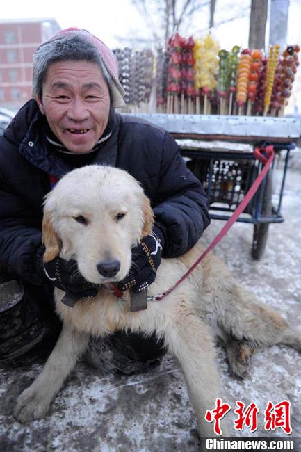 “Perro fiel” ayuda a su amo discapacitado a vender por la calle 8