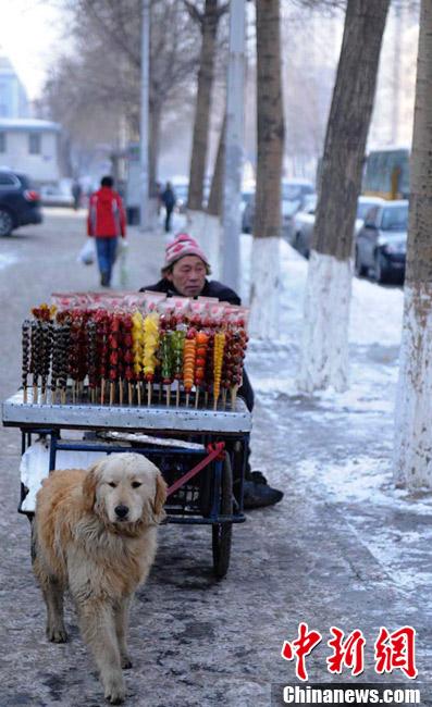“Perro fiel” ayuda a su amo discapacitado a vender por la calle 7