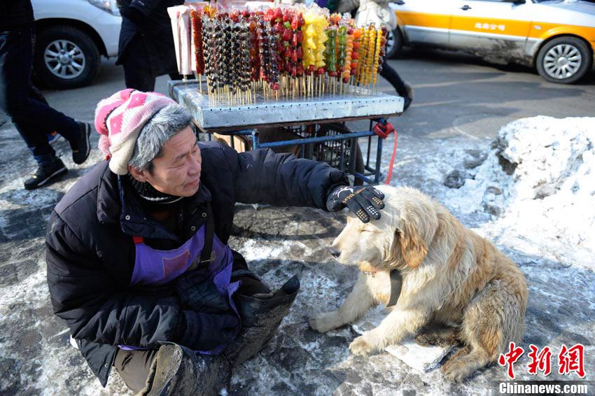 “Perro fiel” ayuda a su amo discapacitado a vender por la calle 2